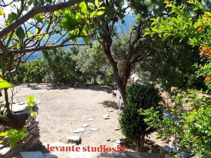 Levante Studios Αndros Menites Bagian luar foto